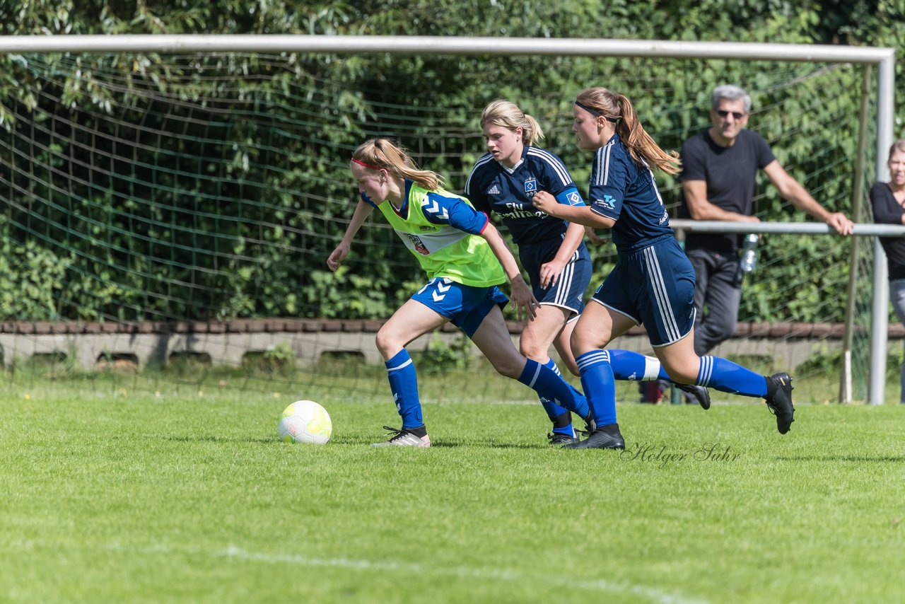 Bild 245 - B-Juniorinnen VfL Pinneberg - HSV : Ergebnis: 1:4